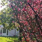 La Baia A Pochi Passi Dal Holiday home