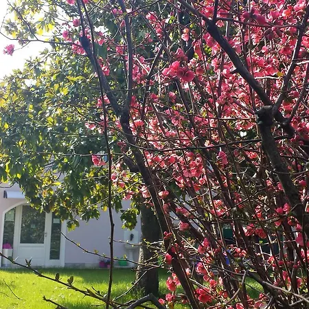 Indipendente A Pochi Passi Dal Holiday home